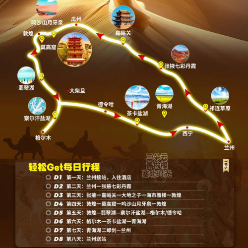 漠上花开01.jpg