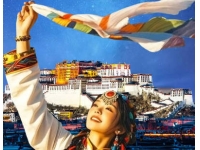 醉美景观318保姆车+单卧11天